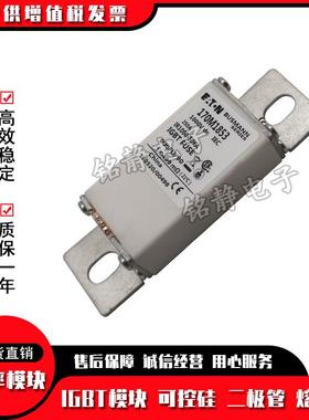 0121770M10730170M1317M17312170M1733170M1734巴斯曼熔断器现货