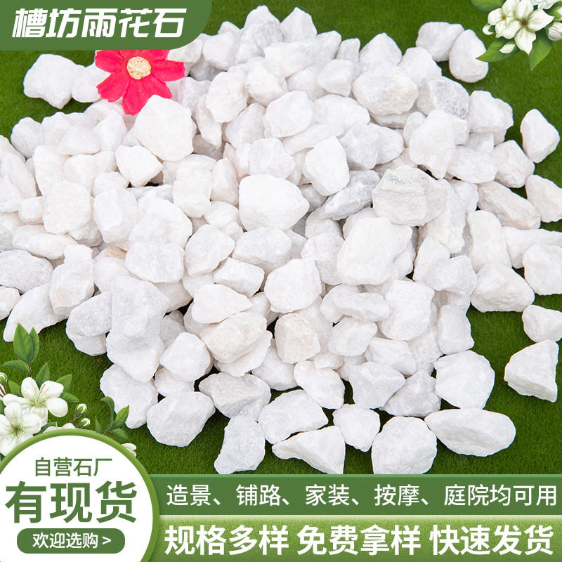 白色砾石 庭院绿植装饰雪花白鹅卵石汉白玉鹅卵石白石子厂家批发