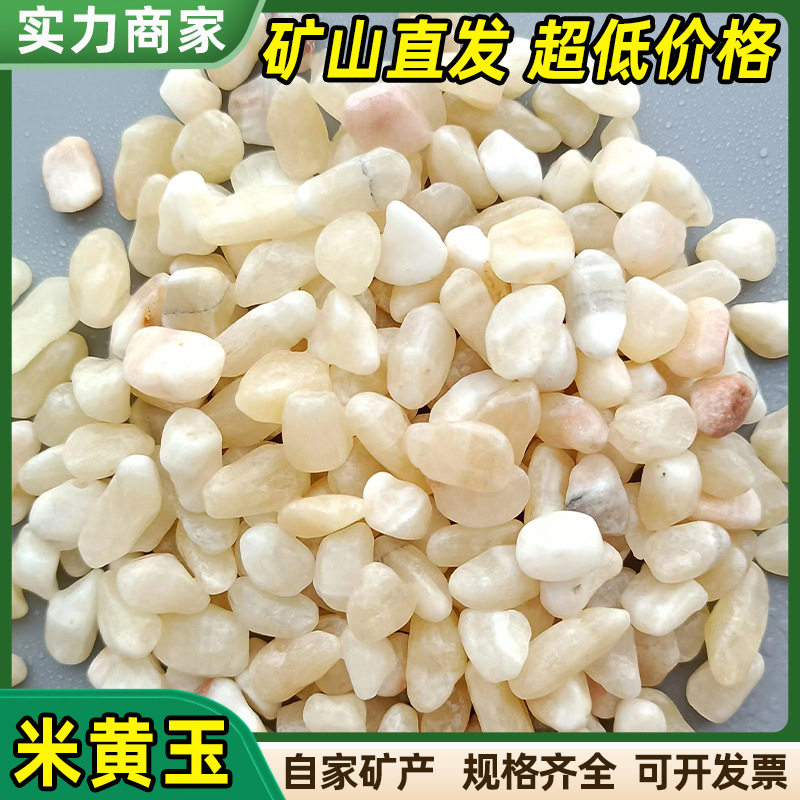 米黄玉卵石米黄碎石子铺路面用水洗胶粘石洗米磨圆黄色碎石鹅卵石