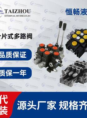 DCV60定位控制多路阀弹簧复位工程机械环卫车分片式多路换向阀