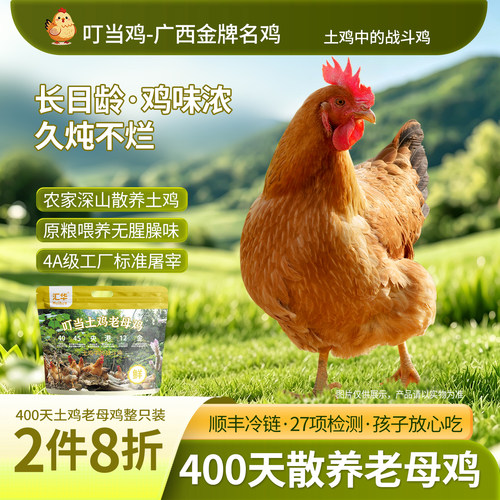 2只8折400天农家散养广西土鸡