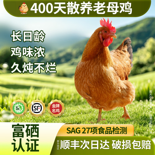 400天农家散养广西土鸡