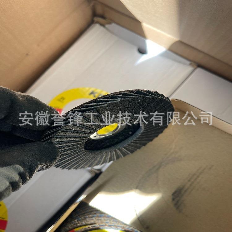 D金刚石平IVY面布轮钛合金化钨抛光片活M塞碳陶瓷玻砂璃抛光页轮