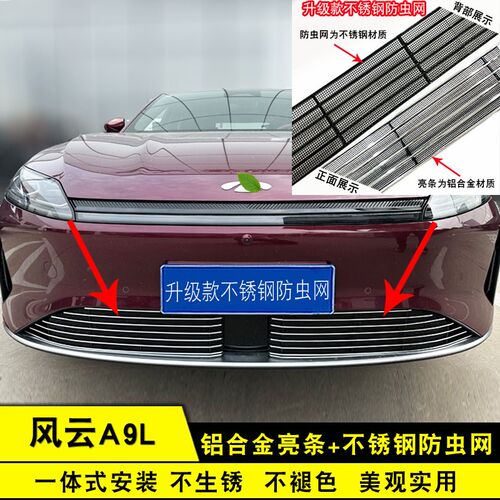 奇瑞风云A9L中网外观防虫网前杠专用改装装饰条汽车用品配件亮条