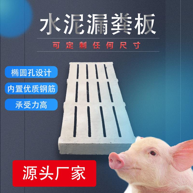 猪用水泥漏粪板猪用3米钢筋现货畜牧厂家生产养猪场母猪漏粪板