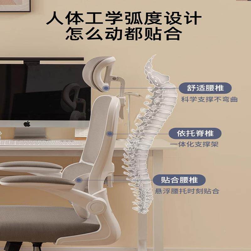 人体工椅学办公生护腰椅子电竞椅学书电桌学习椅久坐家DID用新款