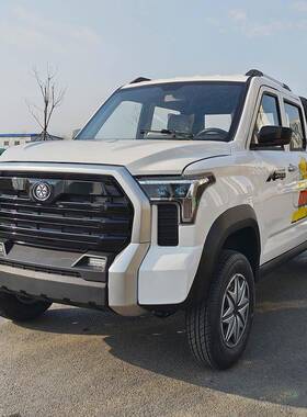 拉载货四轮皮卡车排全封闭动电XTO皮卡人车家用代步电动四双轮车