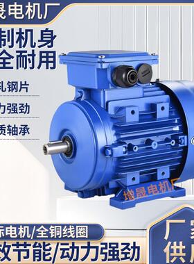 铝壳MS132M-47.5W三相异步电动机厂家供应马达交流电动机