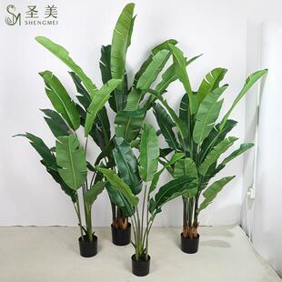 仿真大型绿植旅人蕉芭蕉树龟背竹落地室内橱窗植物角设计造景假树