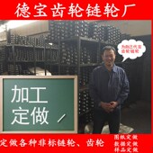 链轮定做双排链轮小链轮链条机械传动工业大链轮齿轮单排链轮加工