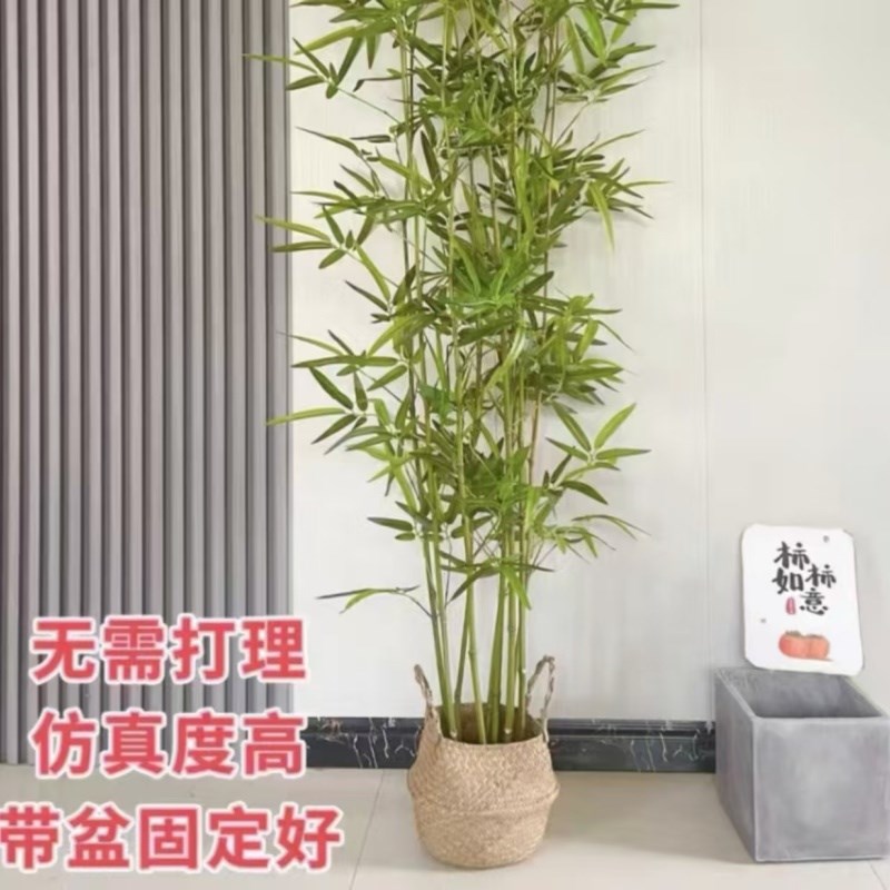 仿真绿植竹子室外内阳台绿植国风装饰客厅摆放花屏风隔断庭院造景