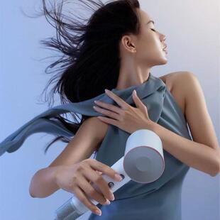 徕芬高速吹风机 速干护发家用 莱芬负离子不伤发吹风筒 LF03