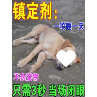 狗狗麻醉镇定剂快速睡觉神器猫咪安眠情绪安抚狗乱叫咬片