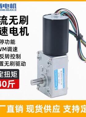 5840-3650蜗轮蜗杆无刷直流减速电机12伏24v微型可调低慢速小马达