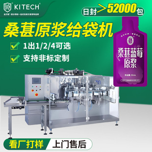 桑葚原浆给袋包装机 新疆桑葚果蔬汁给袋机 一出二液体水平给袋机