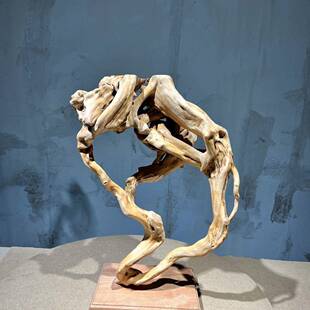 天然整体风化枯木杜鹃树根雕根艺摆件菖蒲陶瓷底座家居客厅装饰品