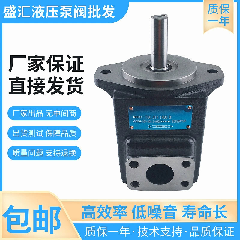 T67B B04 1R02 A1M0 VC00叶片泵T6CT6DT6E液压定量泵工程机械油泵