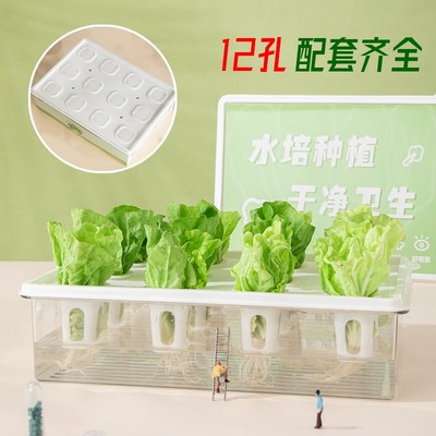 无土栽培智能花盆家庭水培蔬菜设备生菜种菜机阳台香菜水耕种植箱