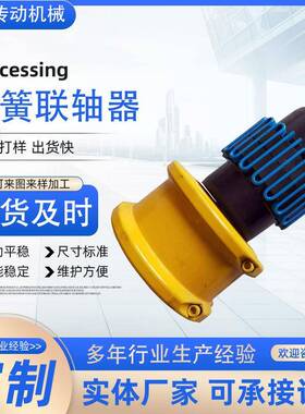 蛇簧联轴器JS蛇型弹簧靠背轮大扭矩弹性联轴器双法兰蛇簧联轴器