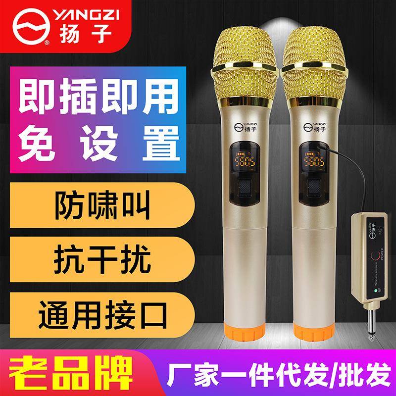麦克风动圈式一拖二家用直播声卡功放机音响音箱适用话筒双声道