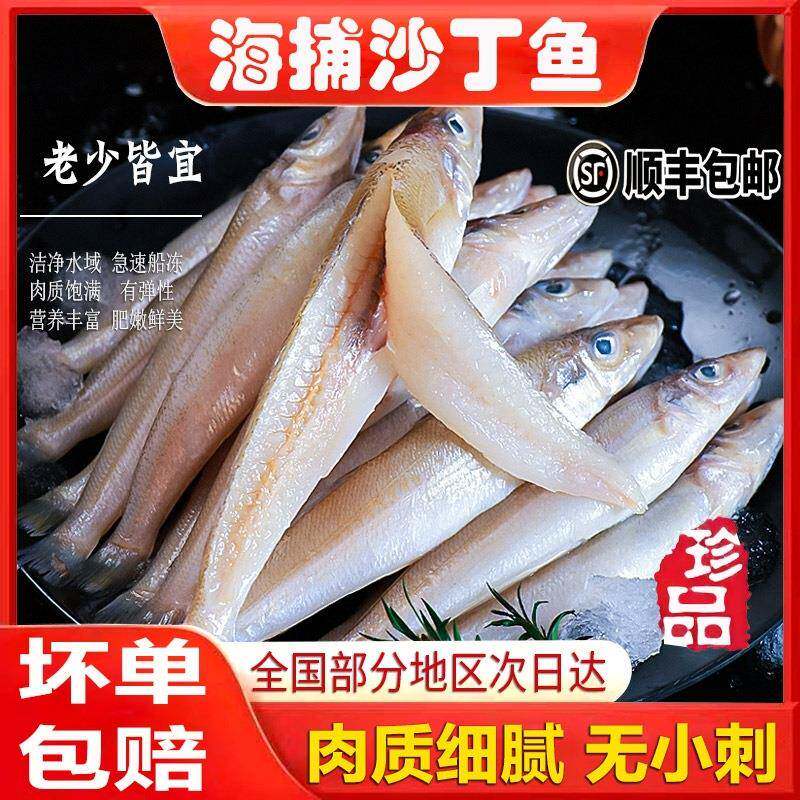 5斤新鲜海捕沙丁鱼鲜鱼冷冻沙尖鱼真空速冻冰鲜沙钻鱼船冻海鲜