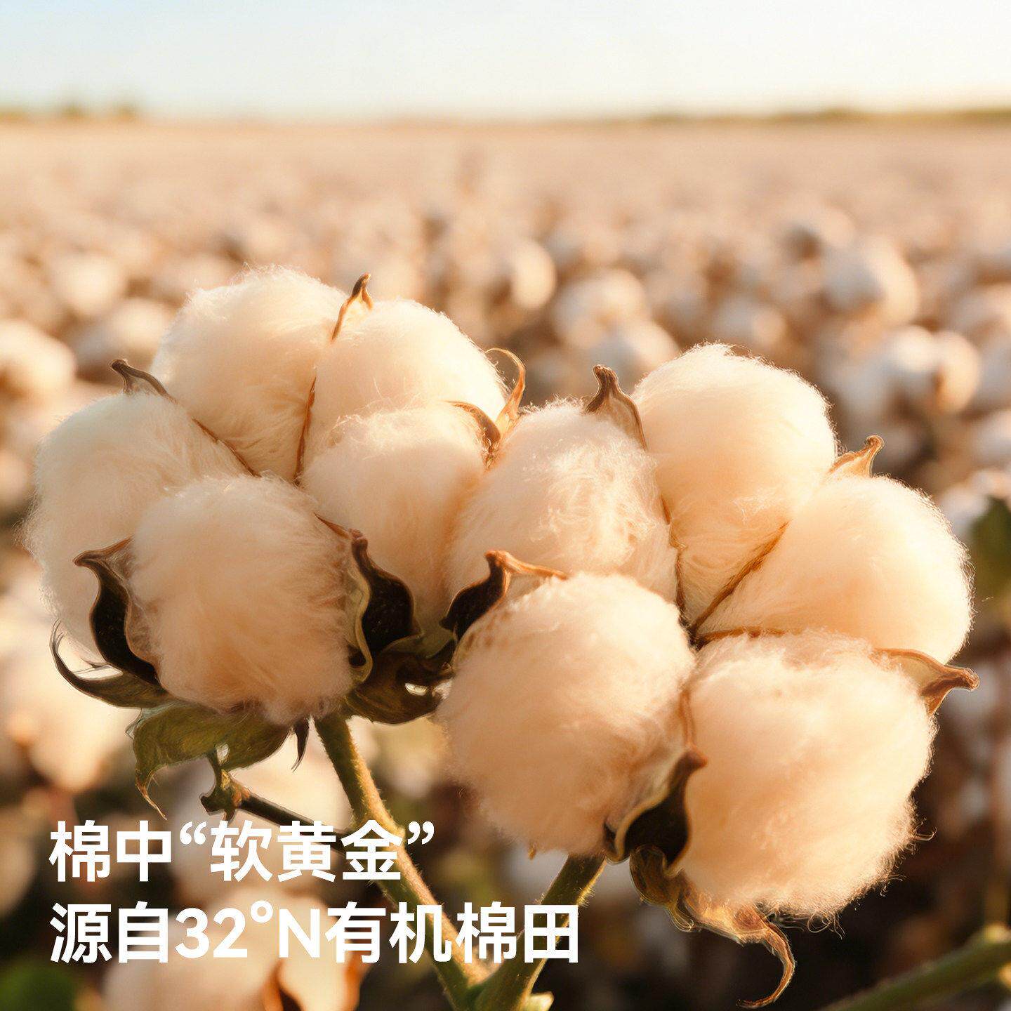 贝斯婴儿肽彩棉隔垫儿童防水大尺寸床单可水洗1L202姨尿妈生垫理