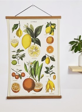 Cavallini创意复古植物儿童房床头实木卷轴挂画免打孔装饰画定制