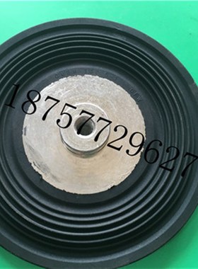 赛诺sera膜片C409.2-350e C409.2-450e赛诺计量泵隔膜进口