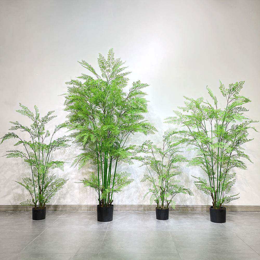 自蕨草落地凤尾物树假绿植盆栽景庭室内原TB594733始然森系院阳台