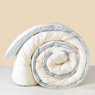 大豆丝绵被子春秋被四季通用被芯棉被加厚保暖子母被冬天内胆被褥