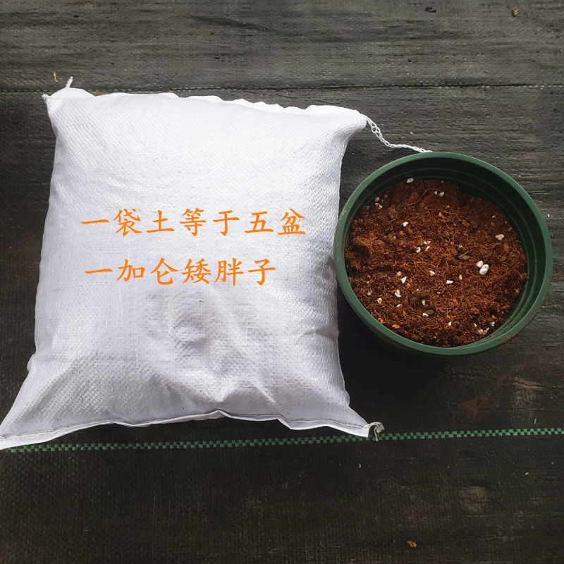 球兰专用营养土多肉通用土 营养土 草炭土,品氏土+椰壳图片