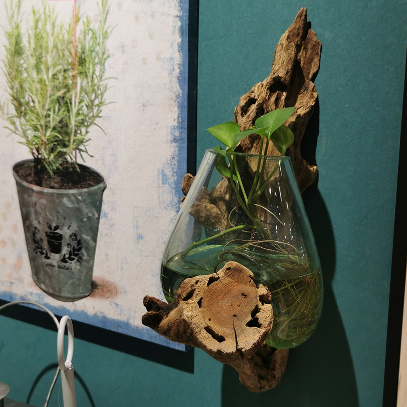 创意小型鱼缸 沉木枯木个性绿萝铜钱草玻璃水培花瓶摆件 一物一拍