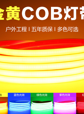 超亮220v灯带蓝色COB防水户外霓虹客厅家用吊顶线形灯室外软灯条