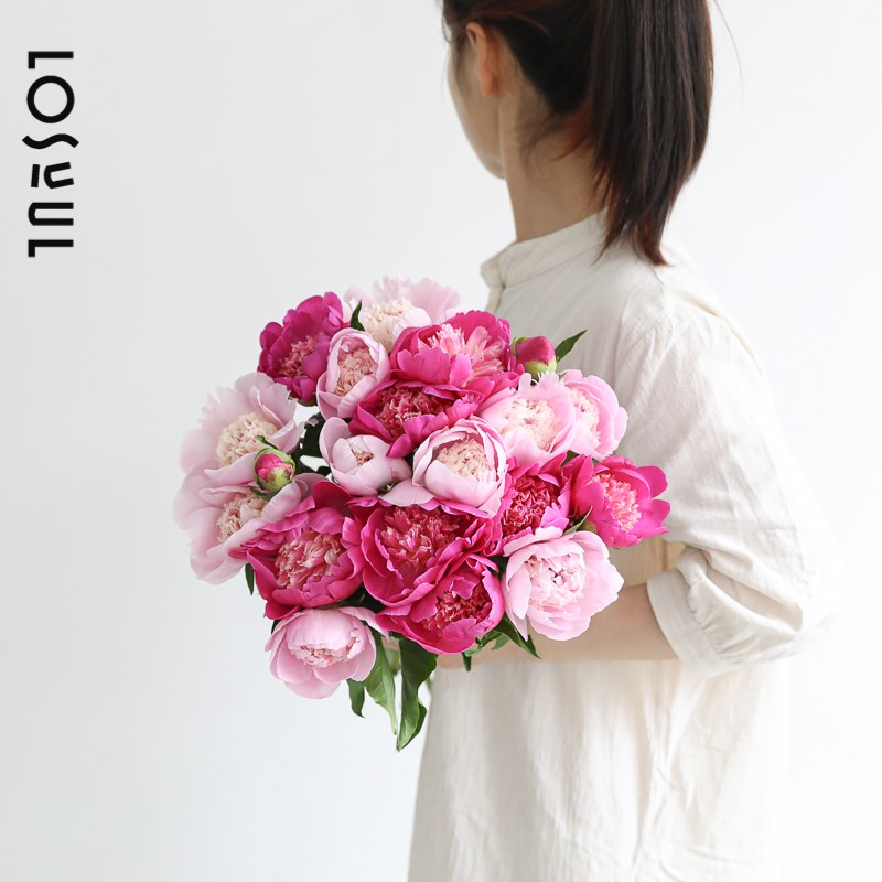 芍药鲜切山东四川白色粉色时令大花苞重瓣花束花氛围感鲜花顺丰