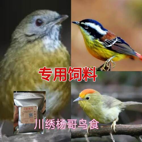 鹛科鸟食饲料鸟粮爱叫白腹幽鹛红头穗鹛火尾希鹛500克川绣杨哥