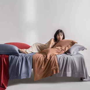 东帝兴100s长绒棉天丝棉磨毛四件套纯棉纯色轻奢高端被套床上用品