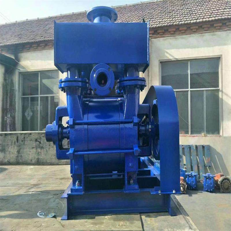 2BE式循环水抽真空用真泵销售2BV空2071027RWG1水环真空泵