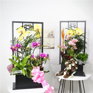 迪克森新轻式蝴中蝶兰花新中式-架仿宵真植物花盆简约奢年花盆栽