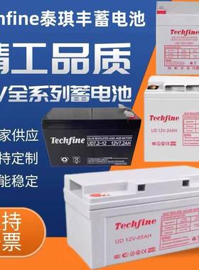 Techfine泰琪丰蓄电池UD12V100 24 38 40 65 120AH机房直流屏专用