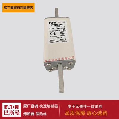 熔断器170M3146 170M3147 170M3148 170M4138 170M4139 170M4140