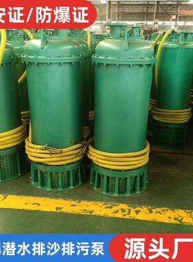 BQS矿用隔爆型潜水排沙电泵 BQ400-150/3-350/WS 强排泵 660v10KV