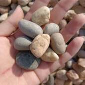 河卵石变电站用园林景观庭院铺路鹅卵石鱼缸造景水质净化滤料卵石