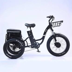 2025胖胎20寸锂电三轮车雪地胎脚踏助力三轮车粗胎碟刹电动