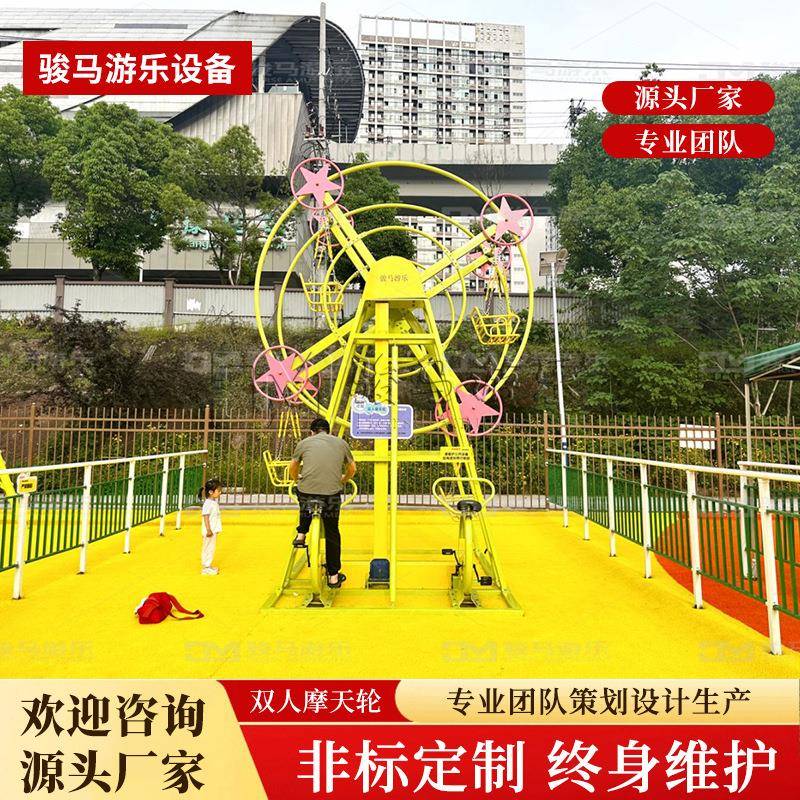 户外景区游乐园双人摩天轮无动力游乐设备骑行脚踏摩天轮旋转设备