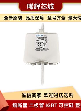 170M8638170M8650 巴斯曼直流快速熔断器型号齐全量大从优直供