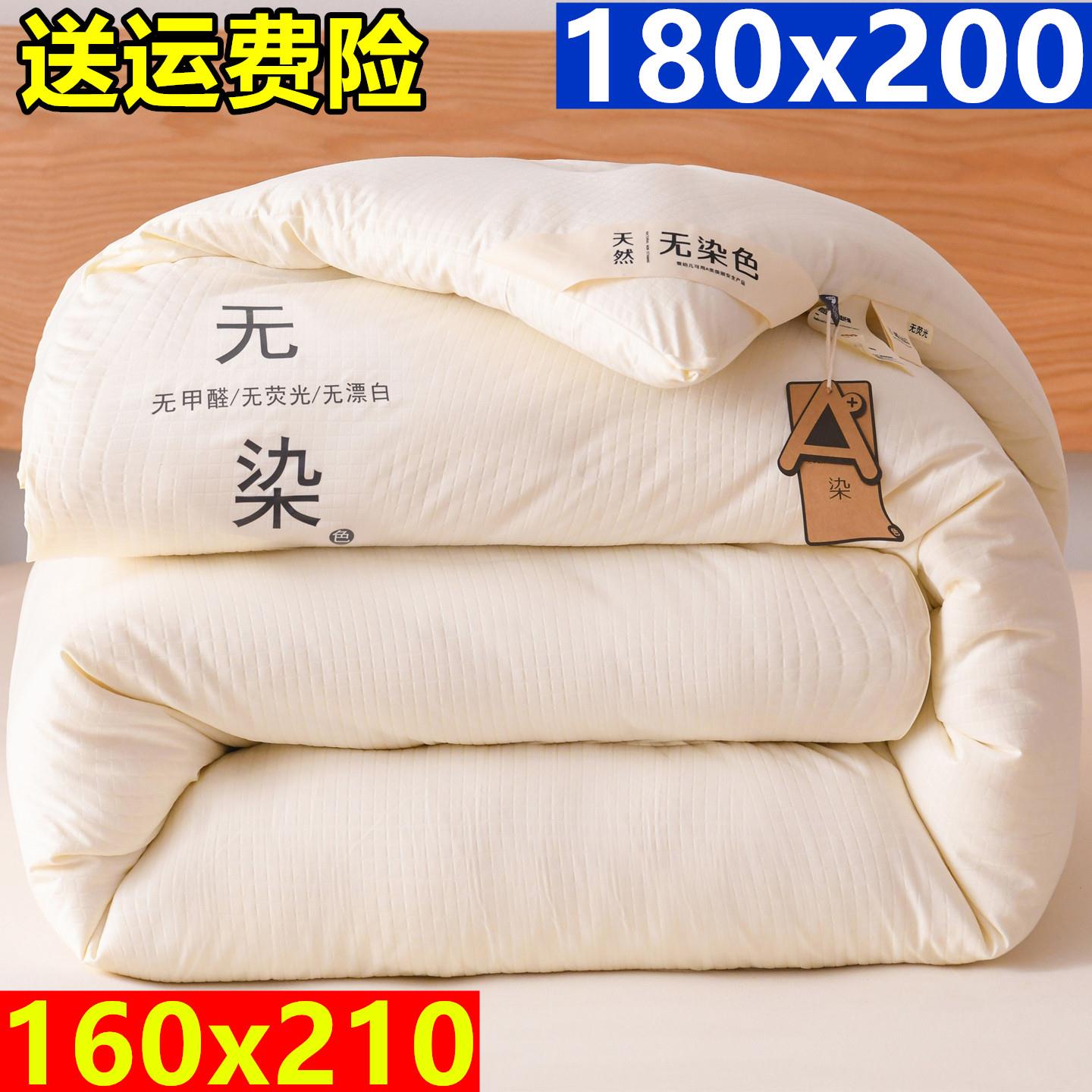 1米8x2米学生宿舍开学单人专用被子160x210大豆被芯150x200x180cm