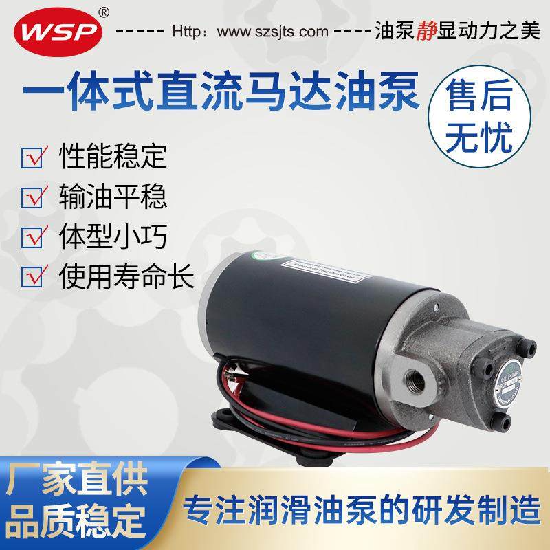 变速箱换油泵4S汽车保养泵12V抽油泵24V一轴式油泵电机摆线泵