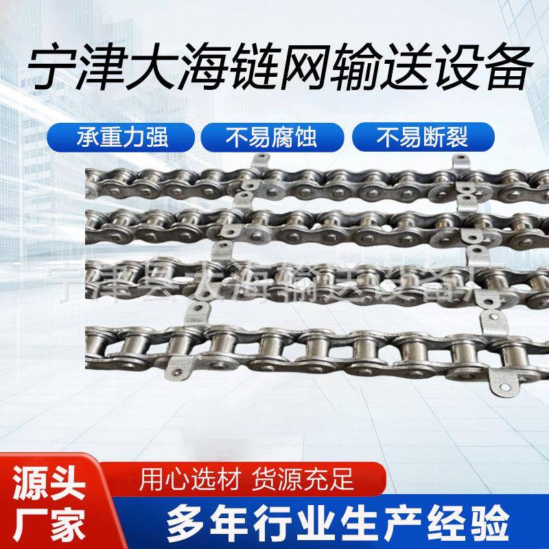 加工04不锈钢异形弯板链条双节距大滚珠链条多种规格型号