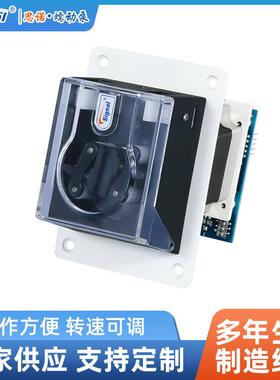 小流量蠕动泵G-1JZ+TH15实验室液体计量泵烟气检测泵微型泵