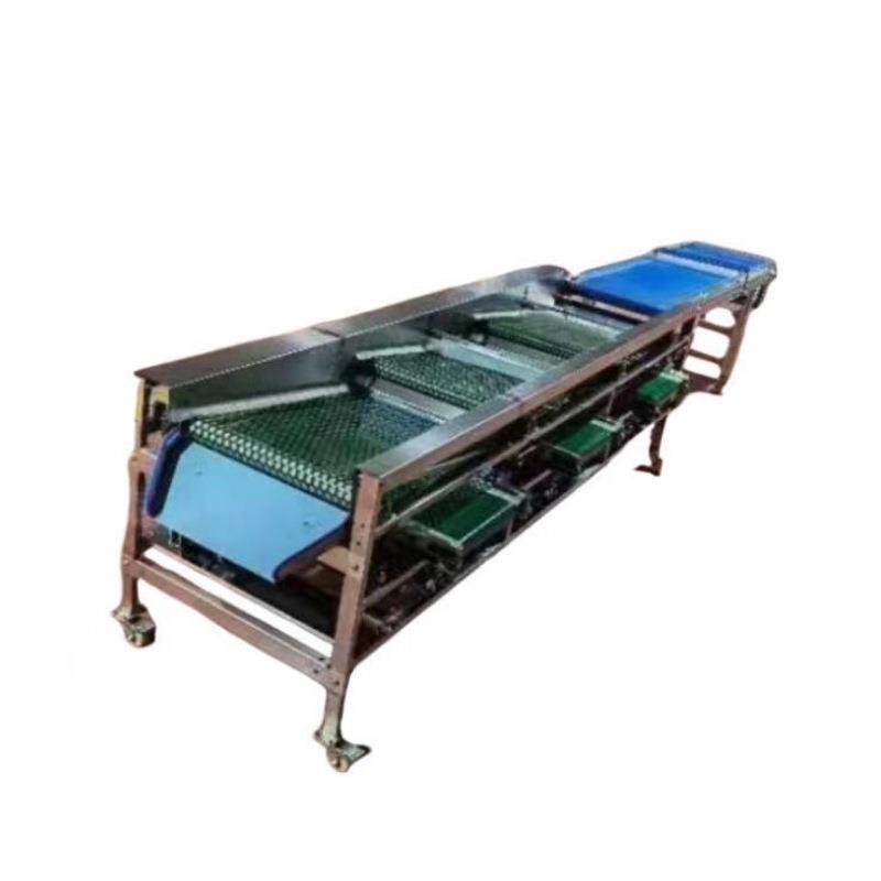 孔带式蓝莓分级机香菇分选机西红柿选果机不伤果孔带分选设备